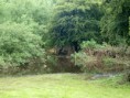 /album/my-local-birding-gallery/the-main-entrance-to-kerries-reserve-under-water-jpg/